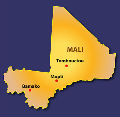 Mali media outlets go silent over editor's arrest